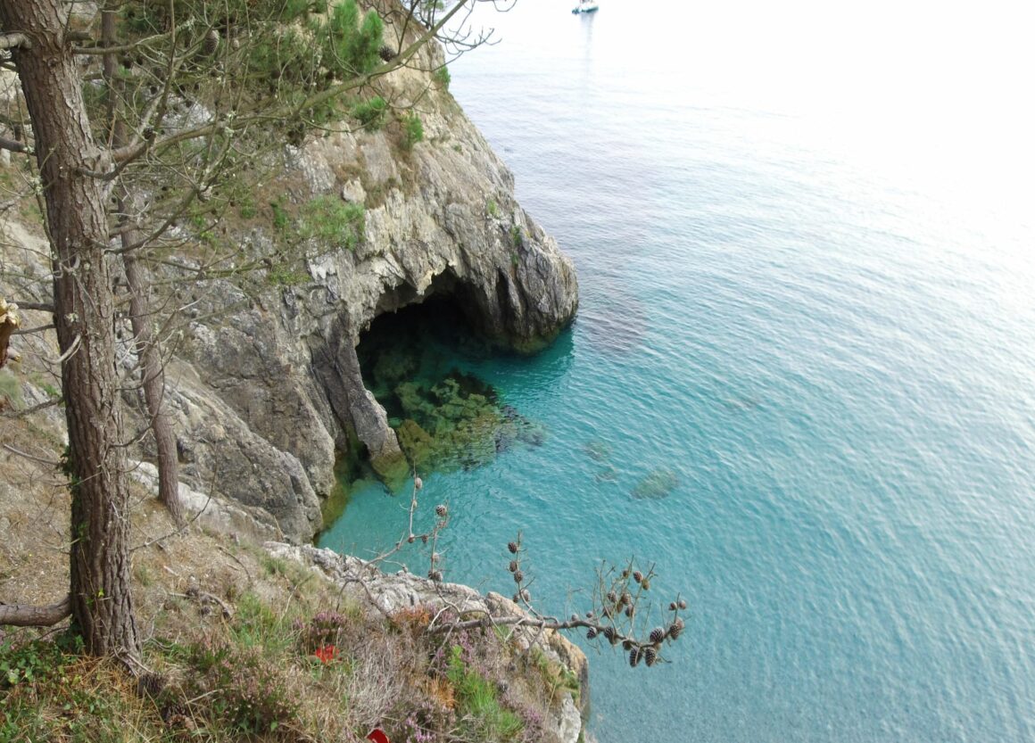 Nature Pointe Bretagne – Argol